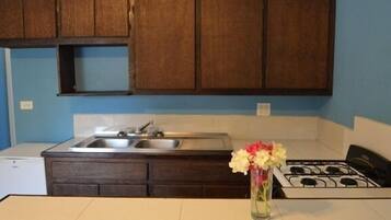 Full-sized fridge, microwave, oven, stovetop