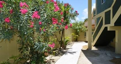 Sea Pearl Vacation Suites