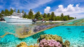 A boat named 'Nina' on clear turquoise water with coral reefs, a sandy beach, and palm trees in the background.