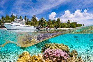 A boat named 'Nina' on clear turquoise water with coral reefs, a sandy beach, and palm trees in the background.