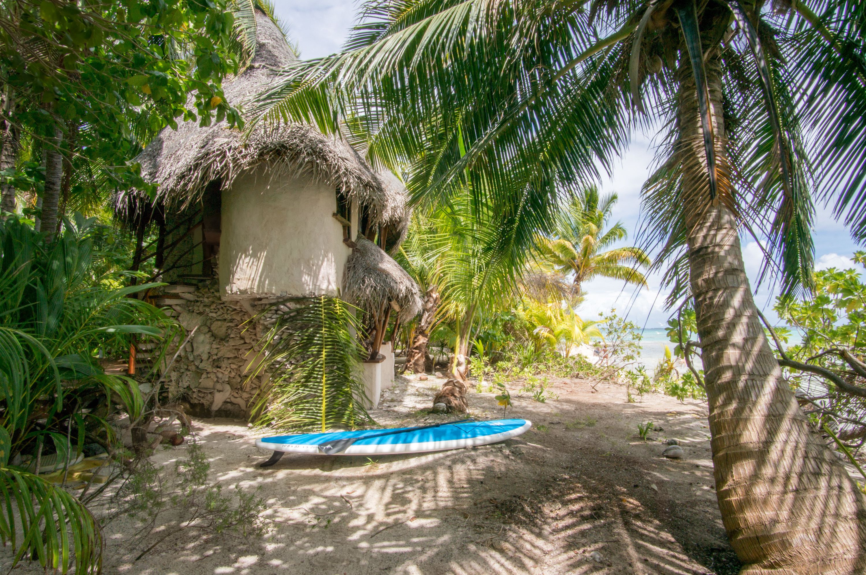 A thatched-roof hut surrounded by palm trees and a sandy beach.