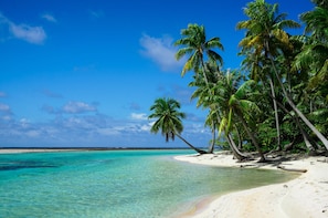 Land view from property - Ninamu Resort (Tikehau)
