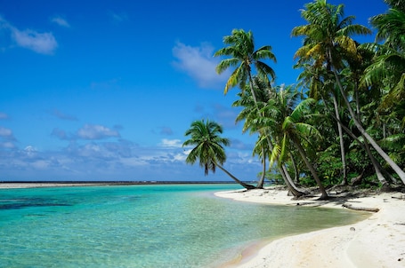 Land view from property