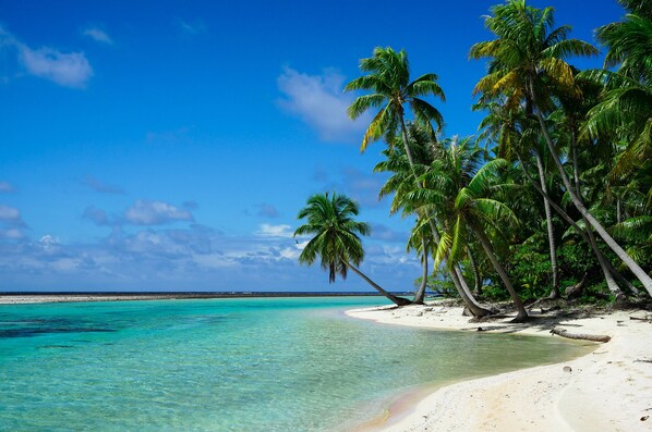 Land view from property