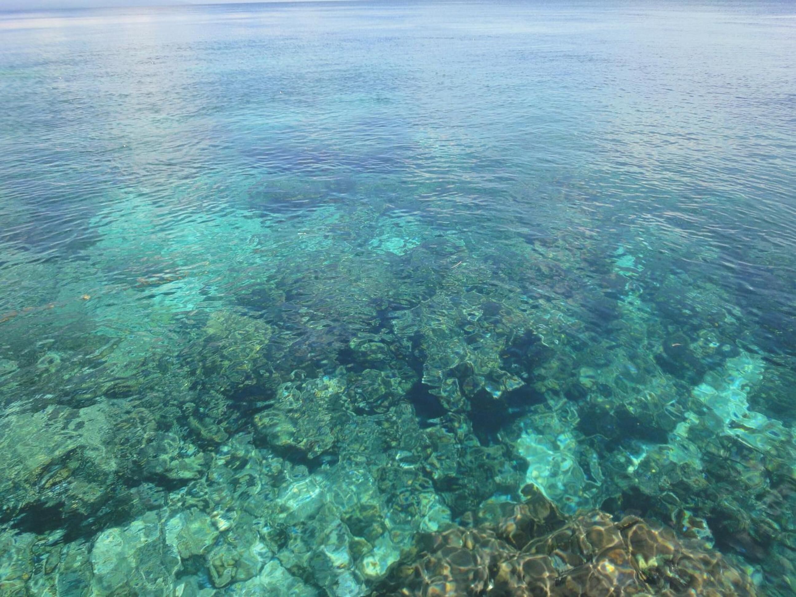 beach nearby, scuba diving, kayaking