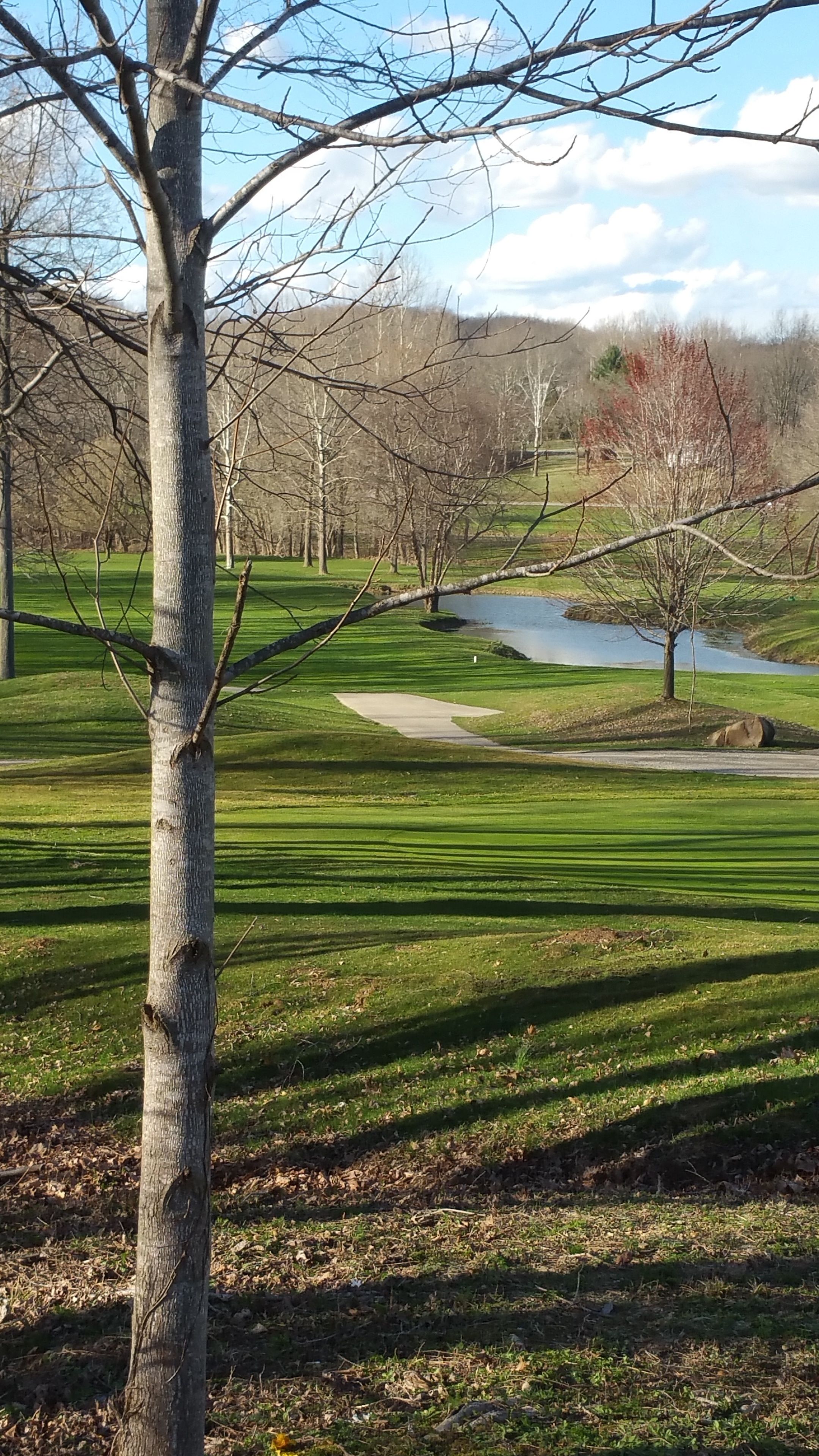 A golf course with a pond, trees, and a clear sky.
