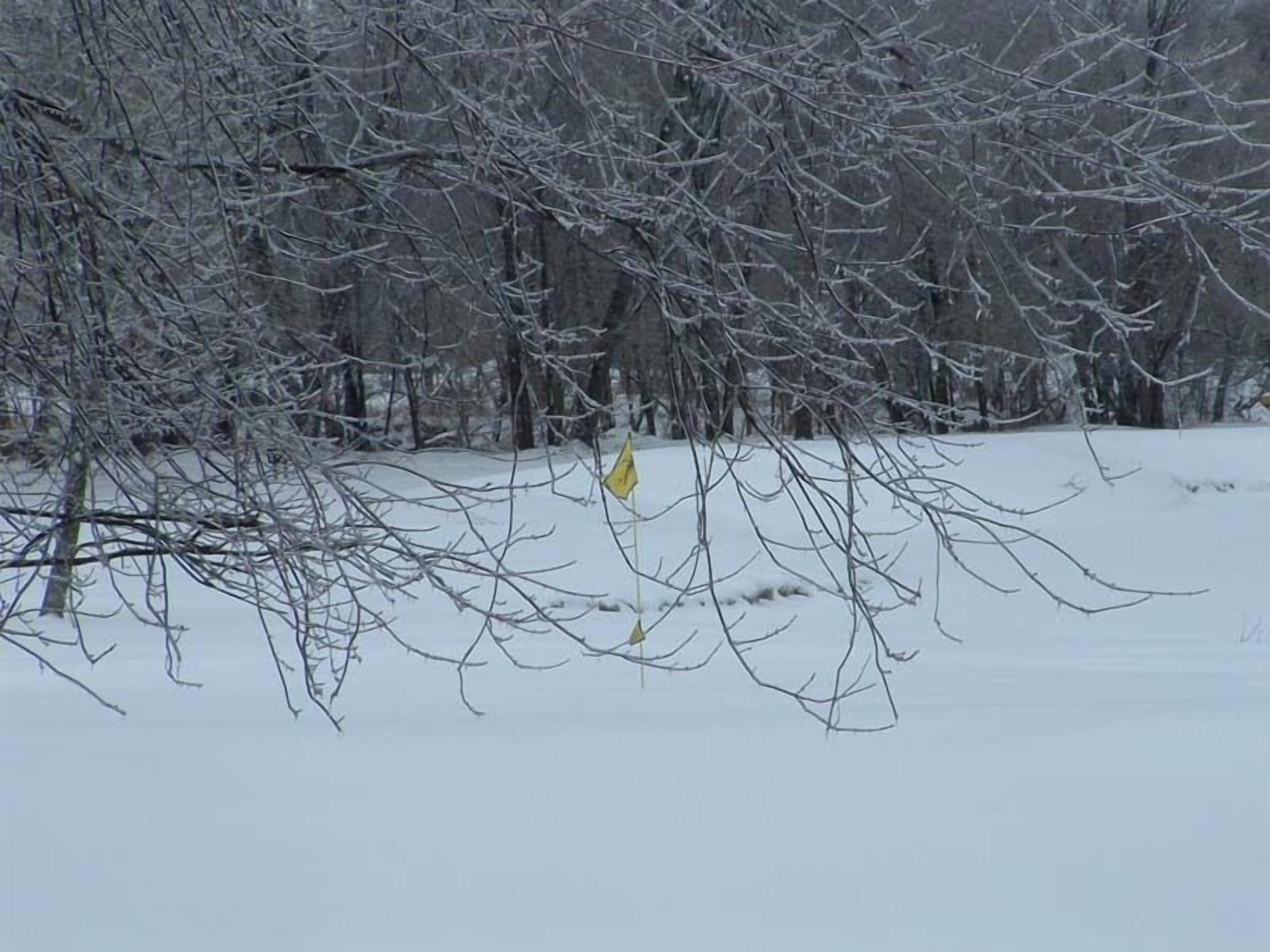 A snowy landscape with bare trees and a yellow sign in the foreground.