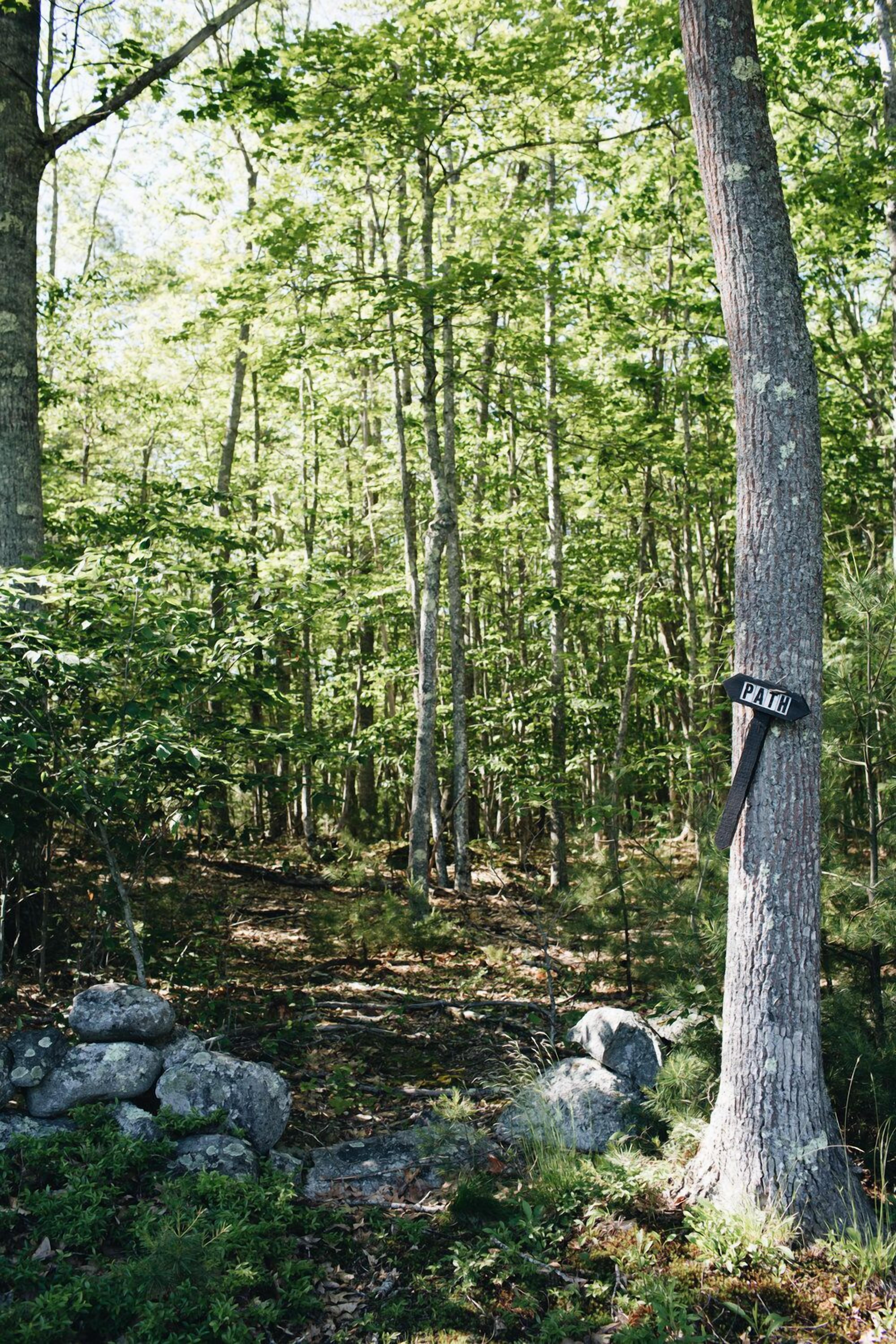 A forest path with a sign indicating a trail.