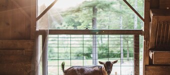 The Squire Tarbox Inn