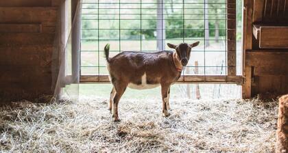 The Squire Tarbox Inn