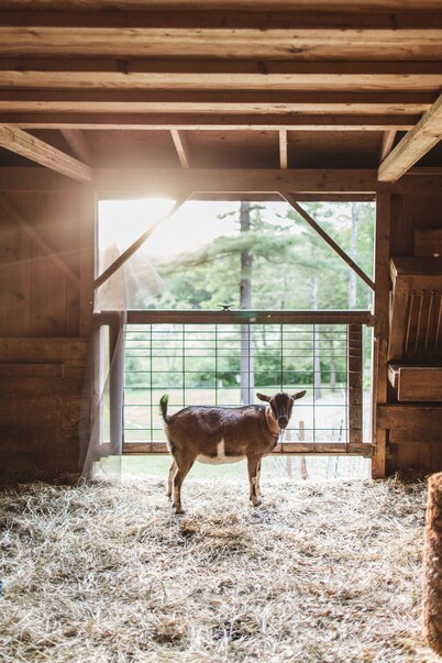 The Squire Tarbox Inn