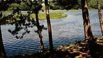 A lake surrounded by trees.