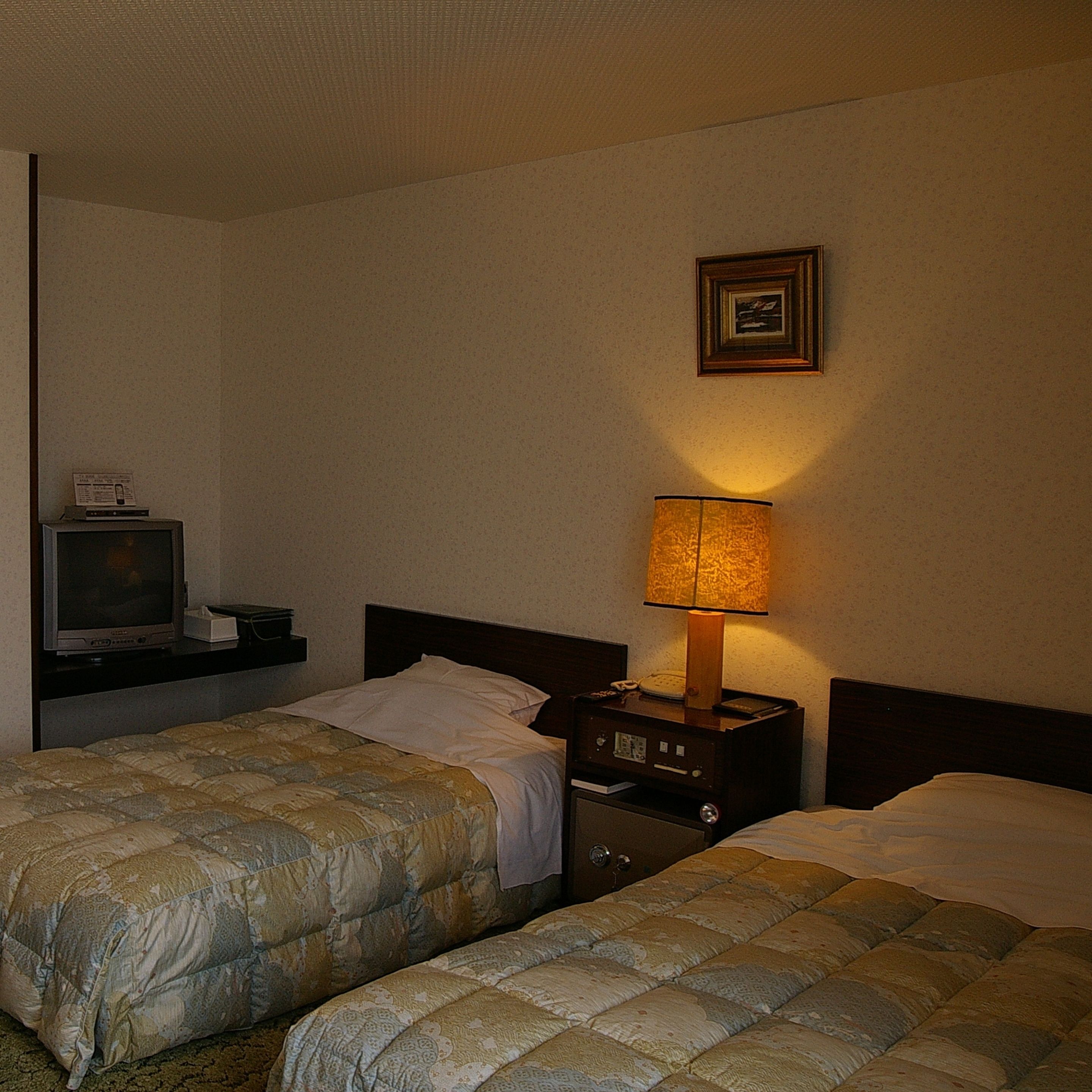 A hotel room with two beds, a TV on a stand, a bedside lamp, and a framed picture on the wall.