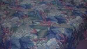 Room - Hotel Atenas (Mazatlan)