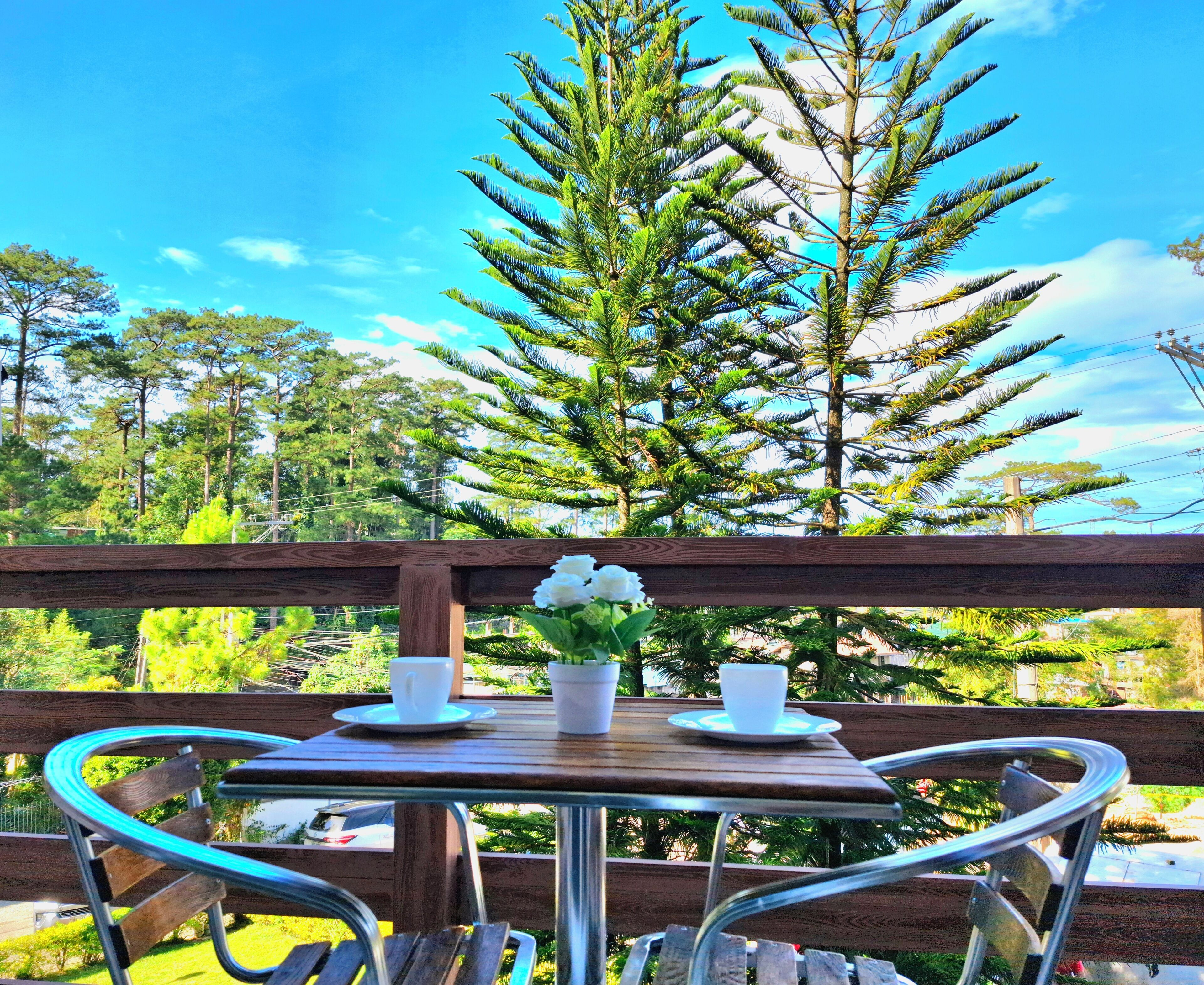 Deluxe Apartment | Terrace/patio