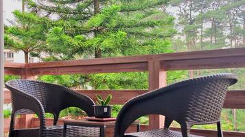 Luxury Apartment, Balcony, Park View | Terrace/patio