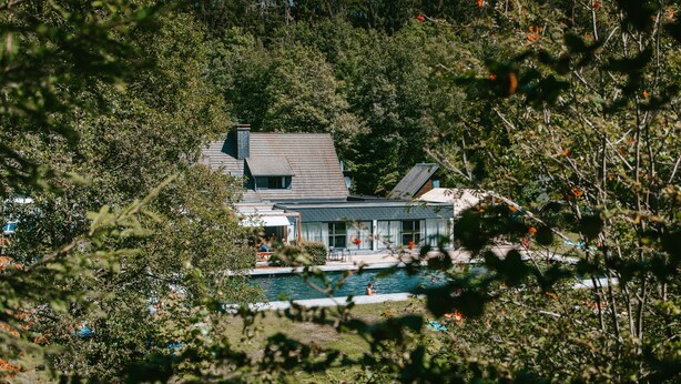Una casa con piscina rodeada de árboles frondosos.