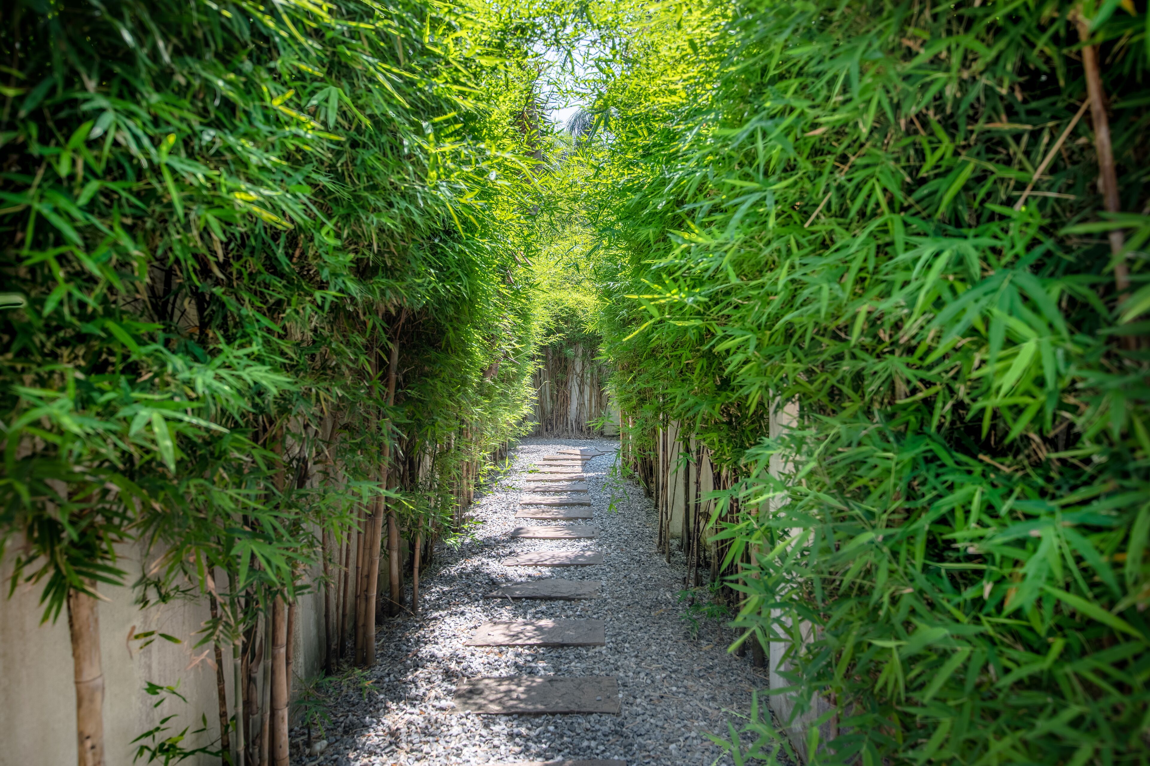 Foto - Colibri Pool Villa Pattaya
