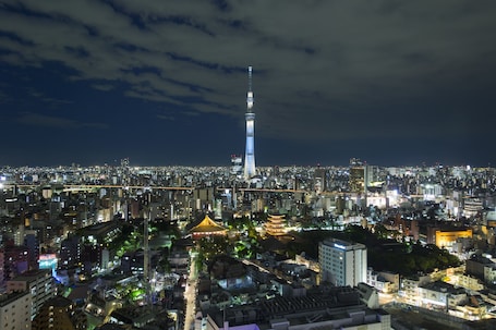 View from room. Asakusa View Hotel