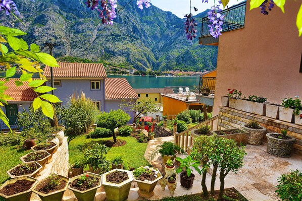 Property grounds - Apartments Andrija (Kotor)