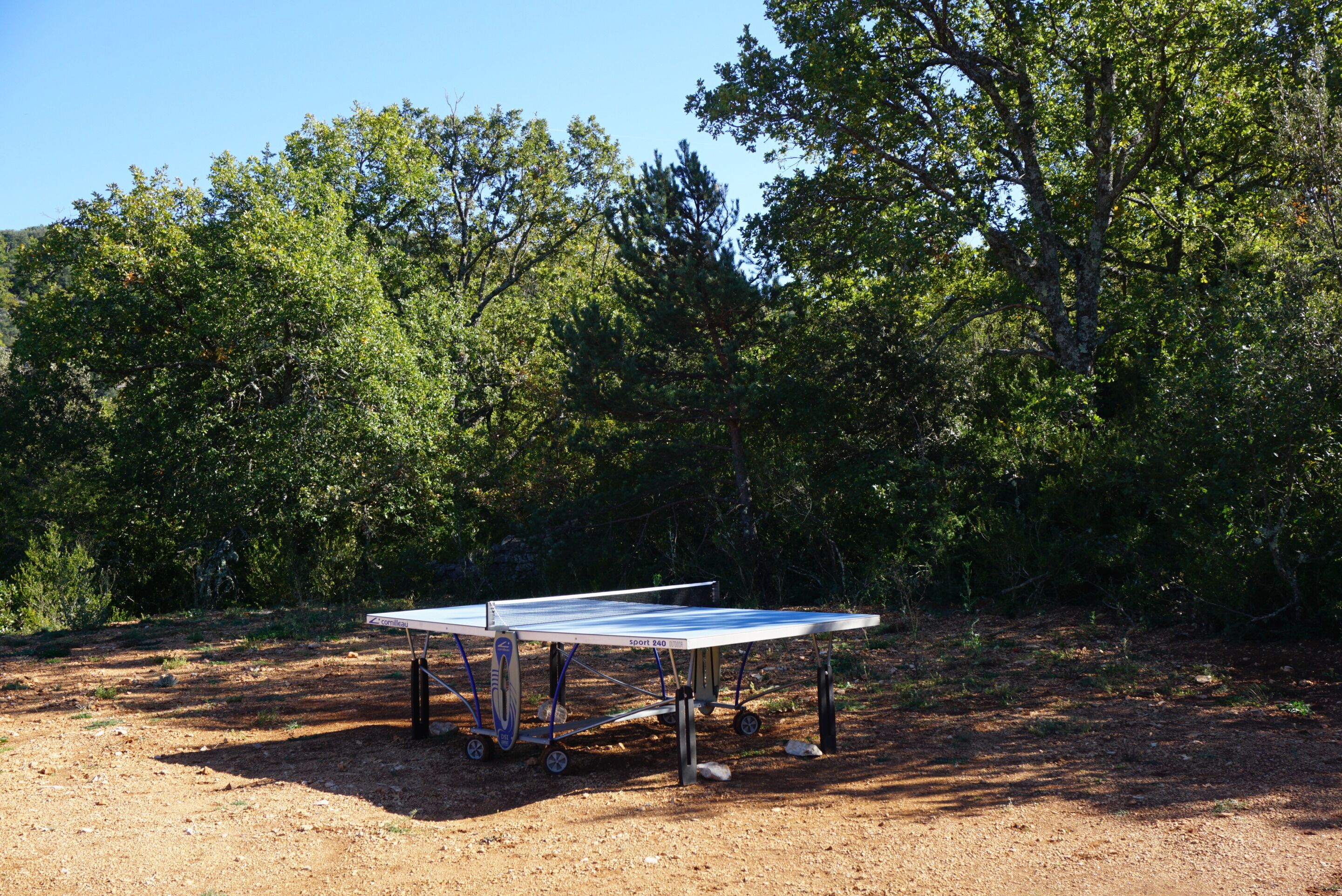 Une table de ping-pong installée à l’extérieur, avec des arbres en arrière-plan.