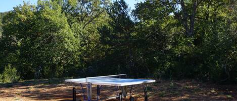 Une table de ping-pong installée à l’extérieur, avec des arbres en arrière-plan.