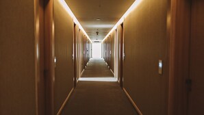 A long, narrow hotel corridor with doors on both sides and a carpeted floor. - Hotel Leone (Citluk)