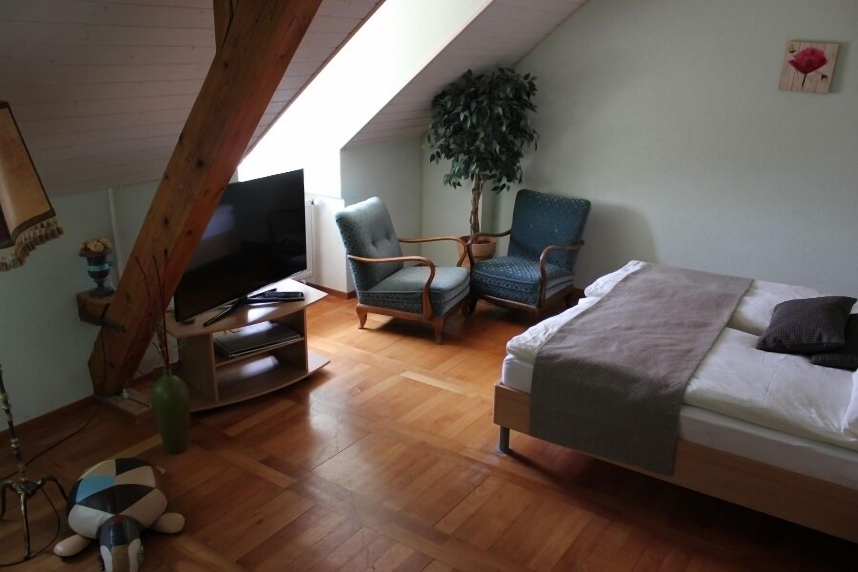 A cozy room with a bed, two armchairs, a television, and a large plant.