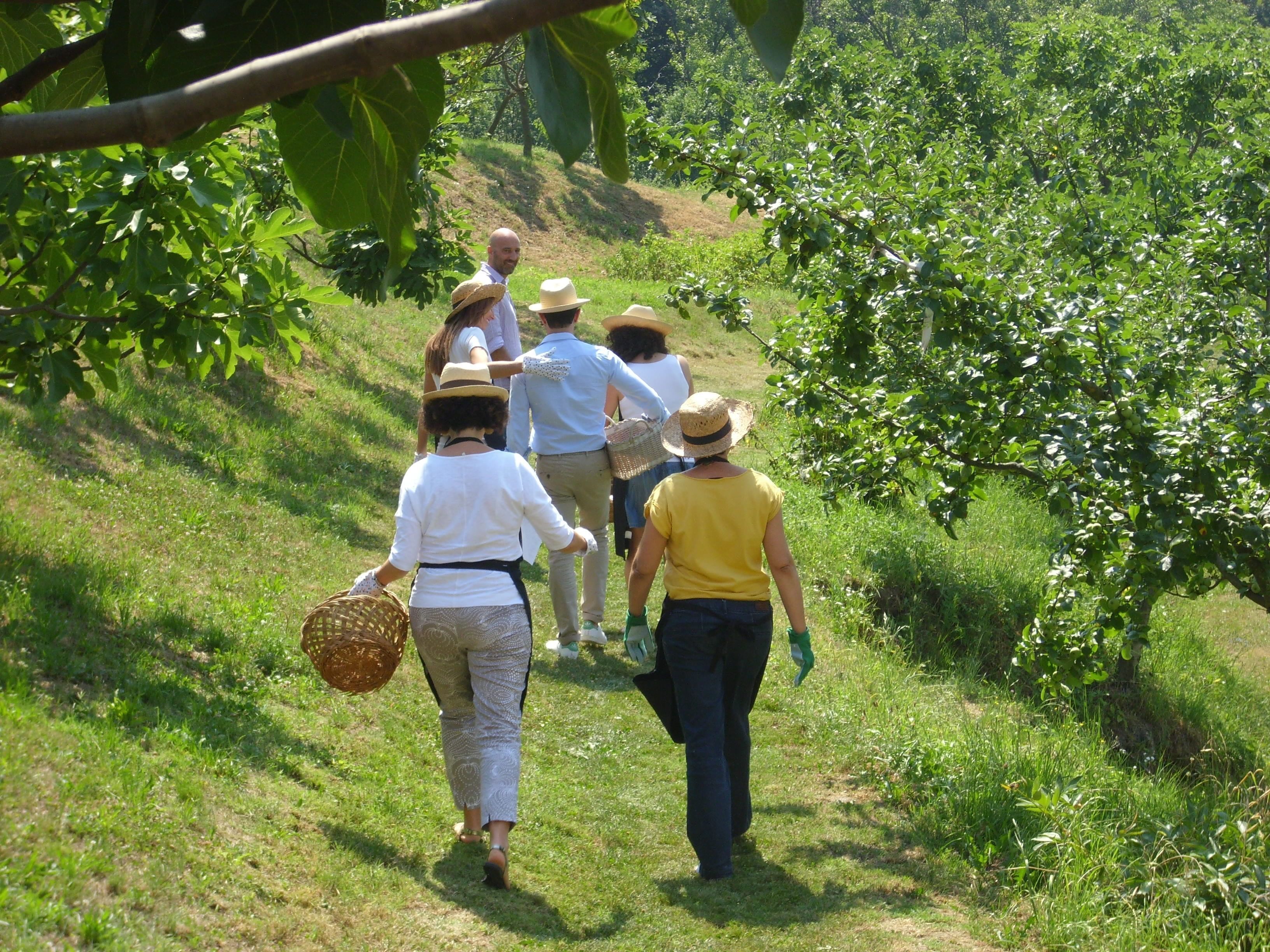 A group of people walking on a grassy path surrounded by lush greenery and trees.