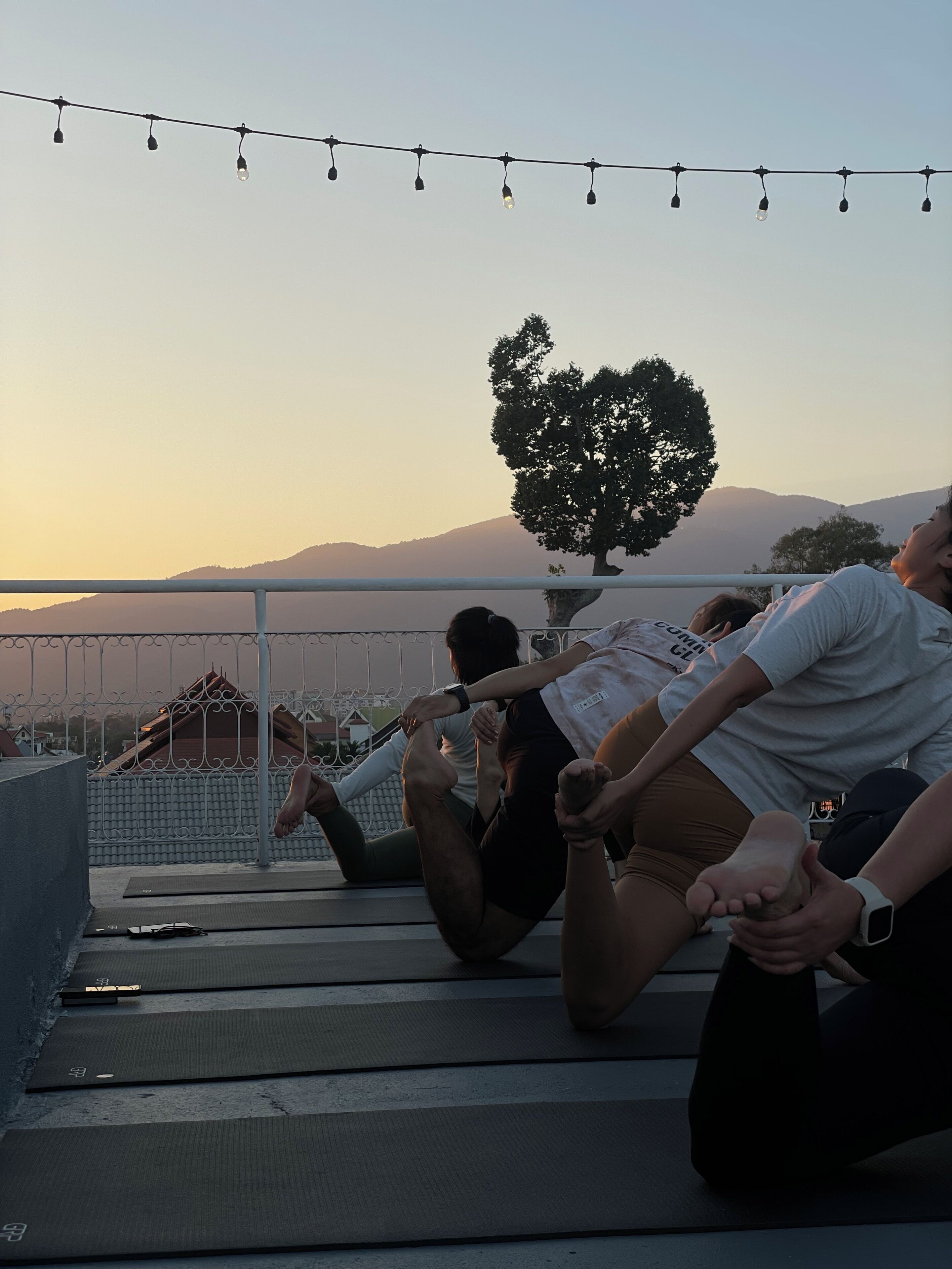 A group of people on a rooftop with a view of a tree and mountains in the background.