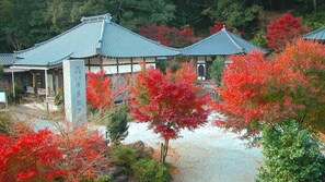 A traditional Japanese building with a tiled roof, surrounded by autumn foliage. - Gensenkakenagashi No Yu Onyado Sakaya (Shizuoka)