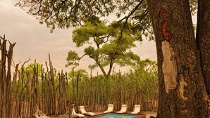 A pool area with lounge chairs and a hammock, surrounded by trees.