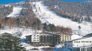 Unclassified image, 4 of 12, button - Hotel Kodama (Yamanouchi)