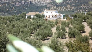 A white building with a tiled roof surrounded by olive trees. - Lasnavillasmm (Montefrio)