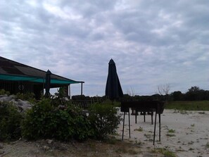Property grounds - Kesmo Lodge (Maun)