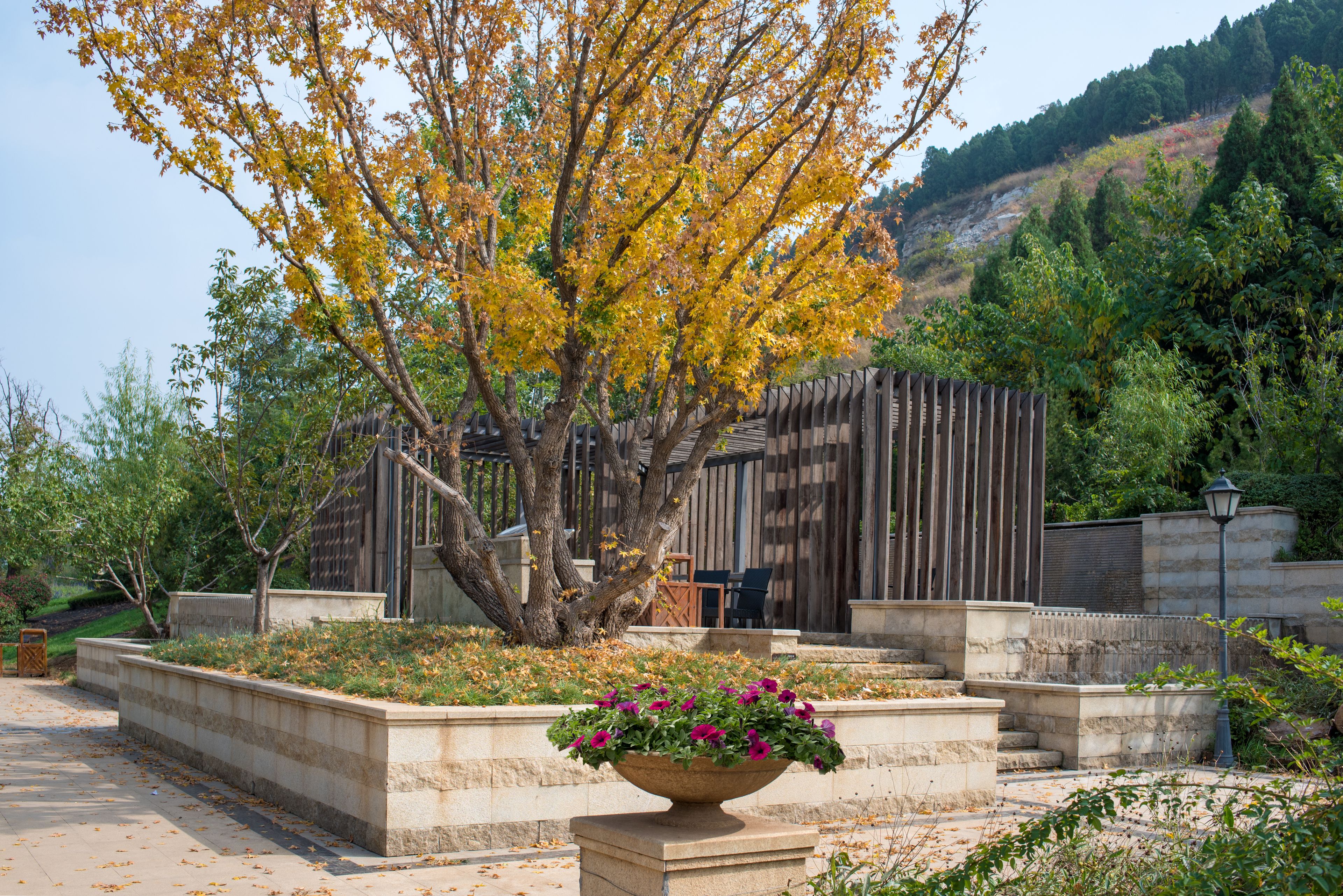 A landscaped garden with a large tree, a flower bed, and a wooden fence.