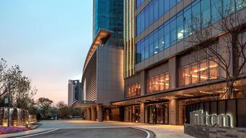 A modern hotel entrance with a glass facade, a landscaped area with flowers, and a prominent 'Hilton' sign.