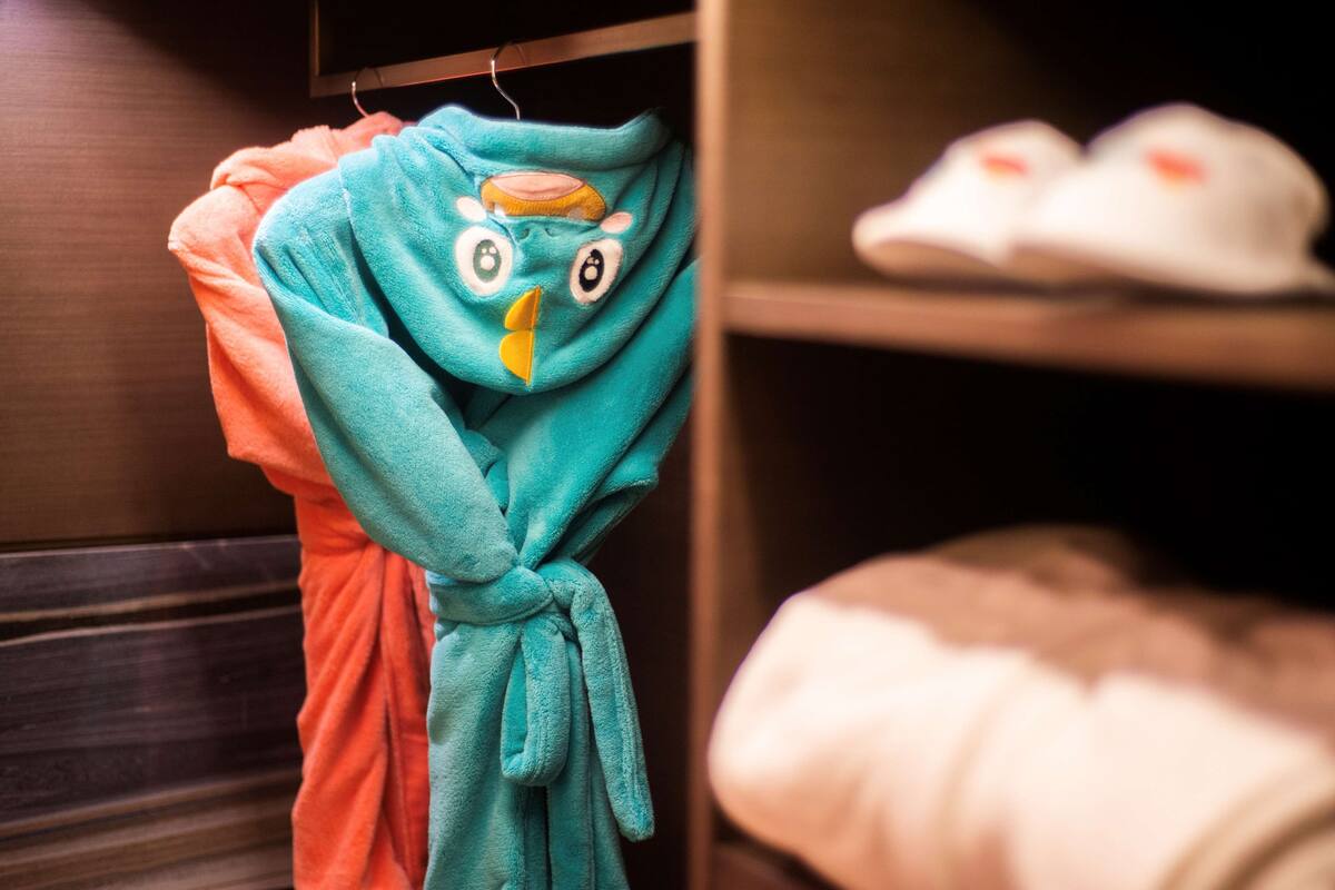 A bathroom with a towel rack holding a blue towel with an owl design and a pink towel.