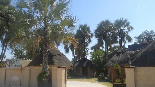 A resort with thatched-roof huts, palm trees, and a sign indicating 'Maya Guest'.