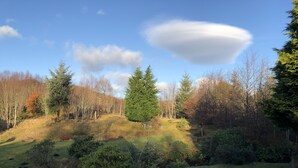 A grassy landscape with trees and a stone bridge. - The Golden Larches Cafe and B&B (Lochearnhead)