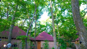 Un sentiero che conduce a un edificio con tetto rosso, circondato da alberi e vegetazione.