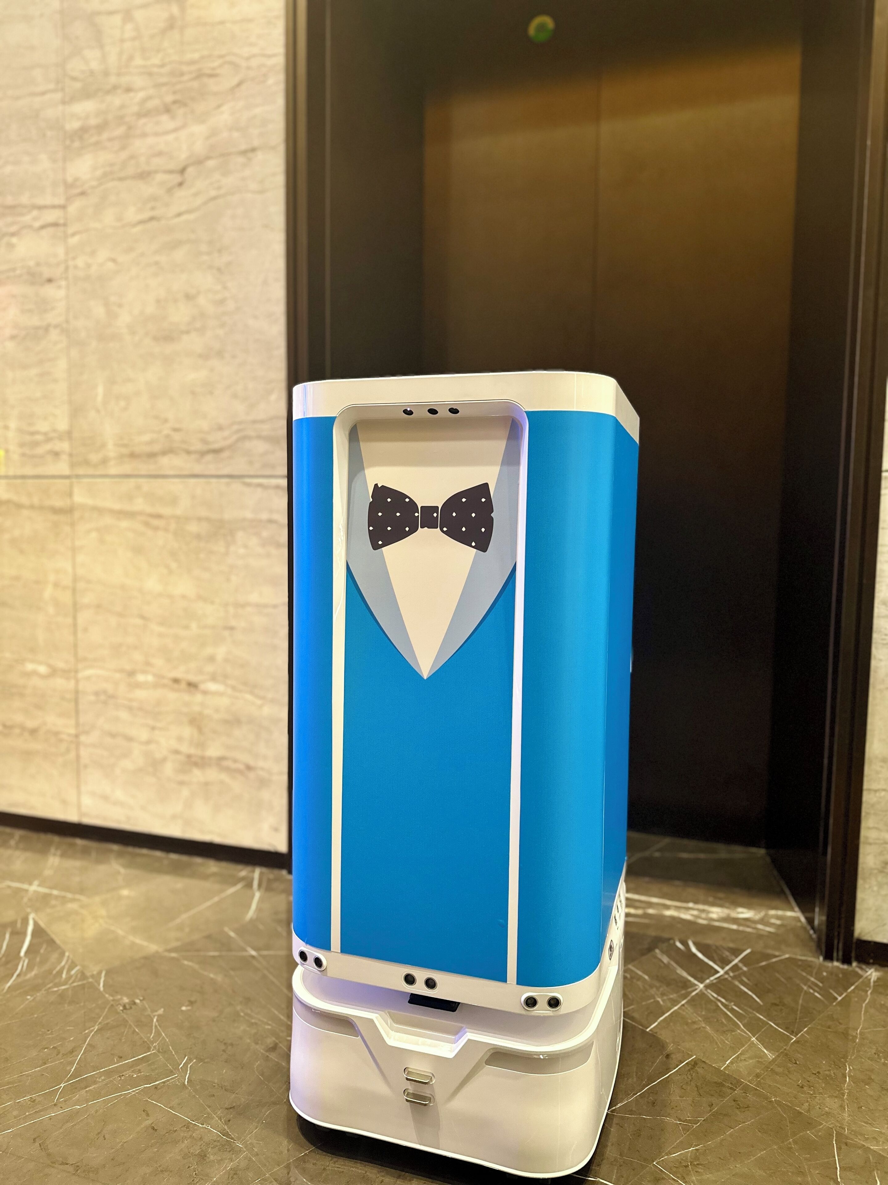 A blue and white object with a bow tie design, placed on a scratched surface.