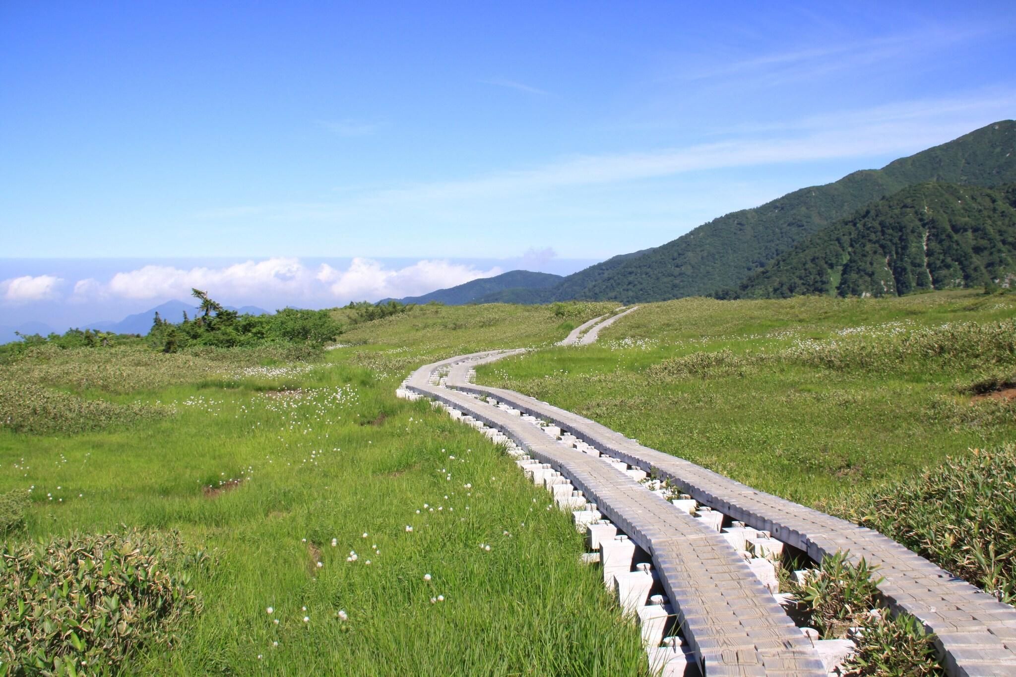 A paved pathway winding through a grassy field with a mountainous backdrop.