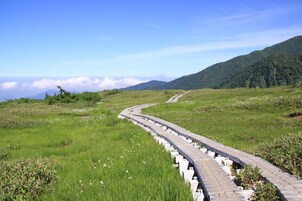 Un sendero pavimentado serpentea por un campo cubierto de hierba, con montañas al fondo.