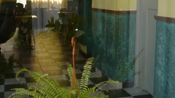 A corridor with checkered flooring, green plants, and a staircase leading to an upper level.