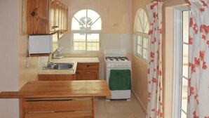 Una cocina compacta con armarios de madera, una estufa a gas, un lavamanos y un ventanal con vistas.