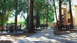 An outdoor patio area with tables and chairs arranged under trees, a brick wall, and a tiled walkway.