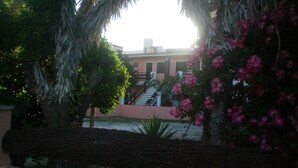 A landscaped garden with palm trees, a stone wall, and pink flowering plants. - Hotel Atlantico Costanera (Santa Teresita)