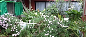 Residencial Scala