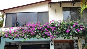 Una casa con balcón cubierto de flores rosadas vibrantes, ventanas grandes y un garaje con estanterías.